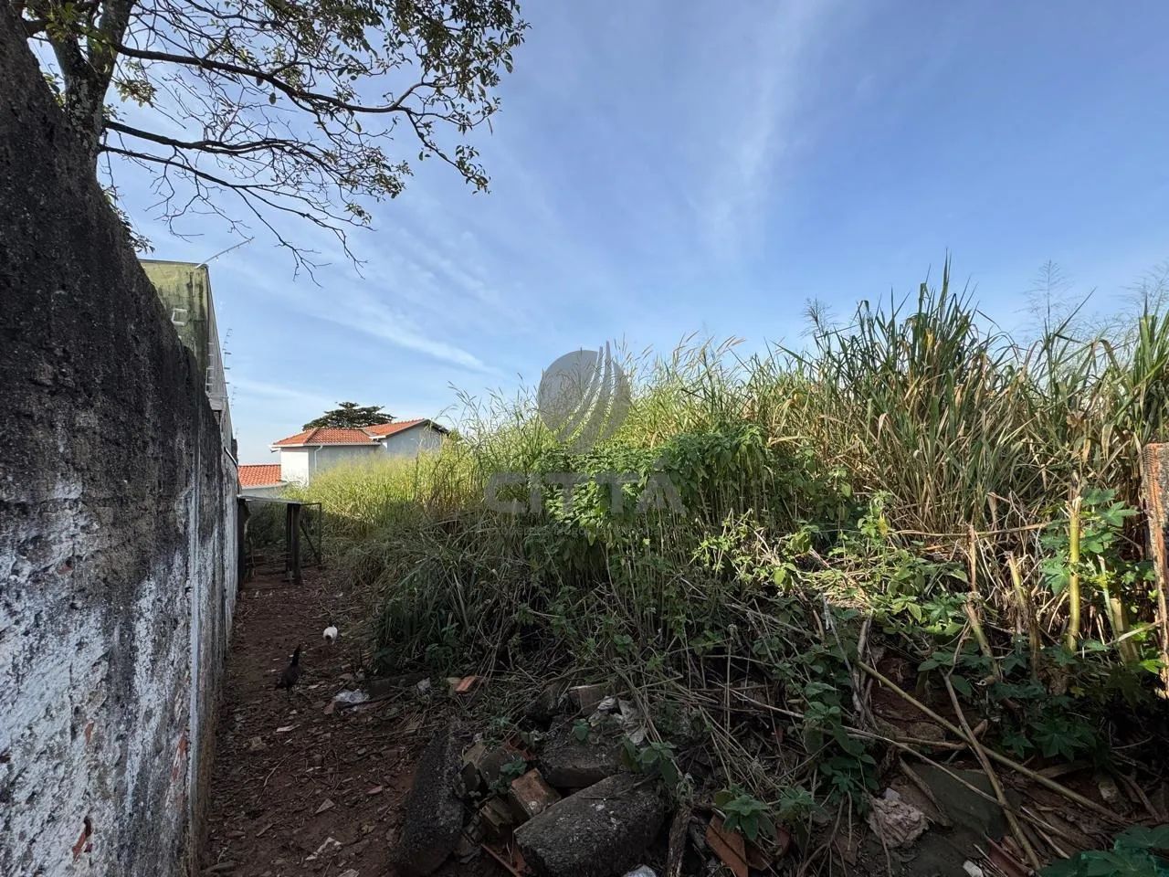 terreno - Vila Nogueira - Campinas - Foto 4