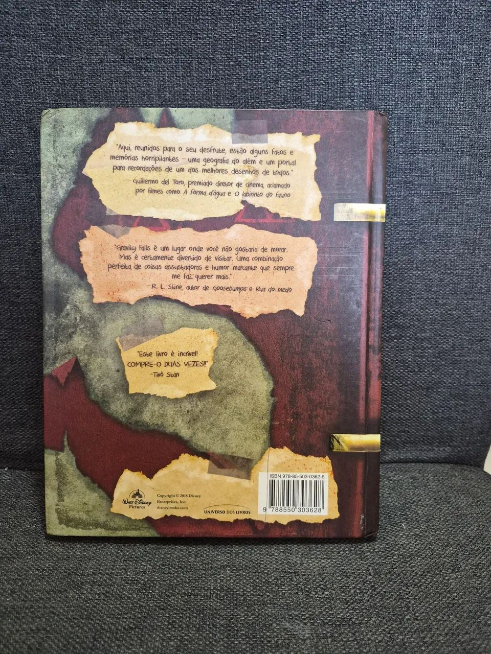 Gravity Falls - O diário perdido - Foto 2