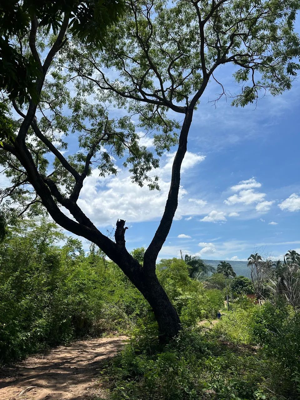 Foto - Crato - São Miguel