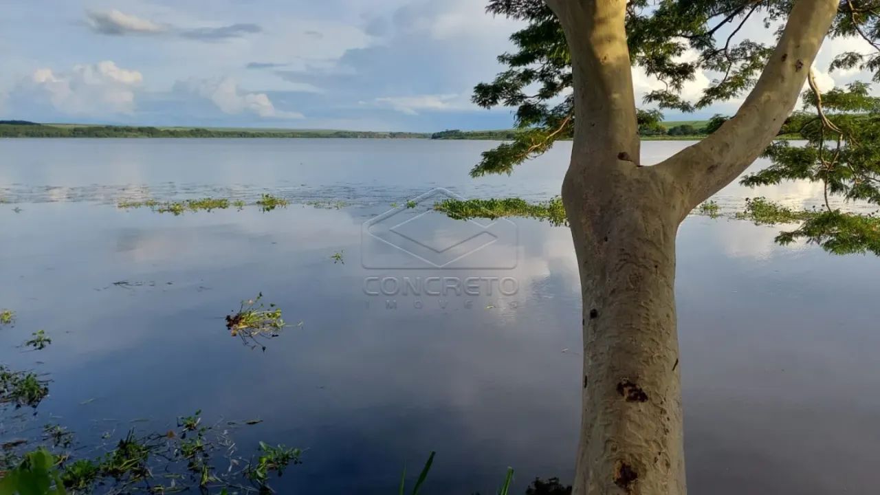 Rural ChácaraFazenda em Pederneiras - Foto 4