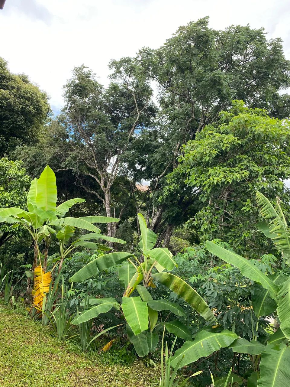Sítio em Taquaraçu De Minas  - Foto 3