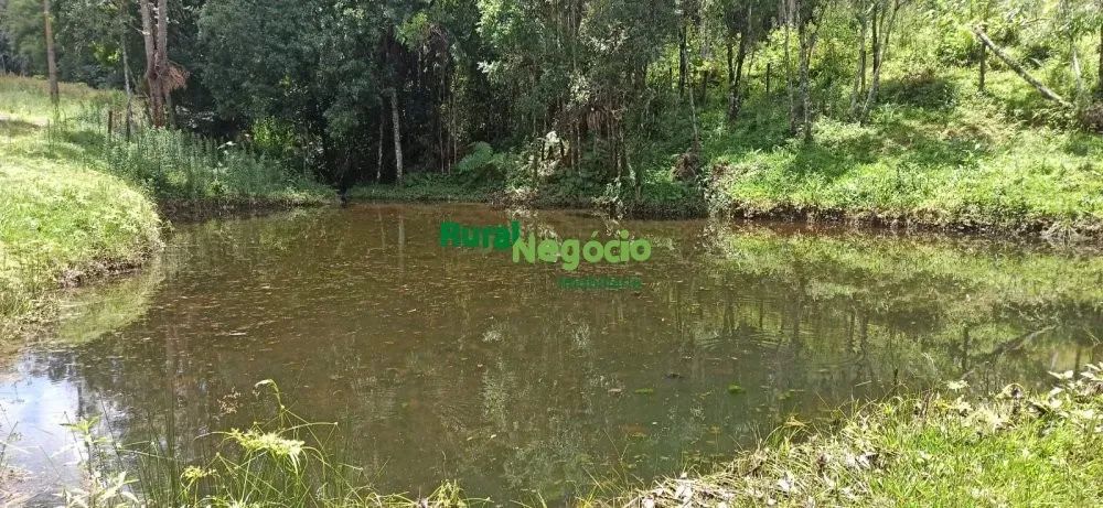 SÍTIO FORMADO PRÓXIMO AO PARQUE DA SERRA DO MAR EM CUNHA-SP
