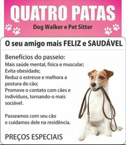 Dog Walker e Pet Sitter