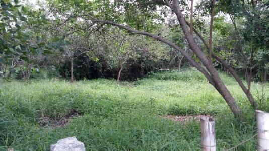 Terreno à venda em Aberta dos morros, Porto alegre cod:MI17324