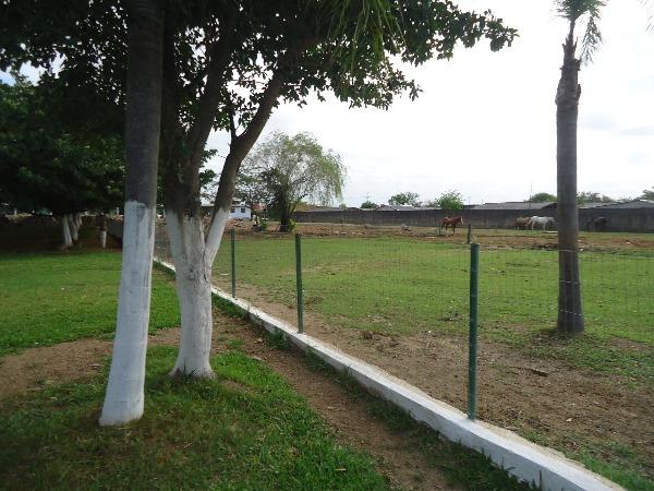 Terreno à venda em Aberta dos morros, Porto alegre cod:MI17355 - Foto 19