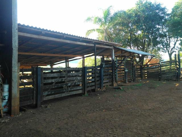 Fazenda de 66 Alqueires .50 Alqueires Mecanizados - 17 KM de Cantagalo PR - Foto 19