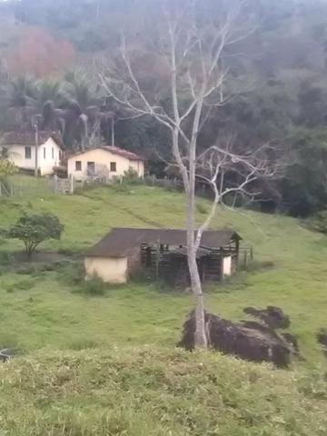Vendo fazenda em Gandu BA - Foto 4