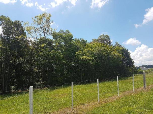 Terreno à venda, 396 m² por r$ 195.000,00 - união - estância velha/rs - Foto 5