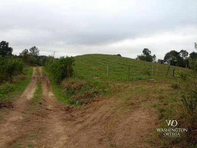 Chácara à venda, 2275517 m² por r$ 10.000.000,00 - centro - campo magro/pr - Foto 7