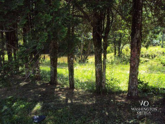 Chácara à venda, 2275517 m² por r$ 10.000.000,00 - centro - campo magro/pr - Foto 3