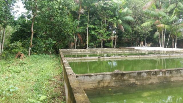 Sitio com Criação de Peixes - Foto 13