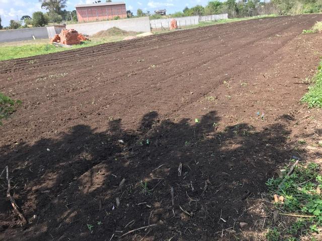 Terreno - Foto 4