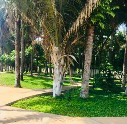 Jandaia tênis clube, oportunidade * - Foto 5