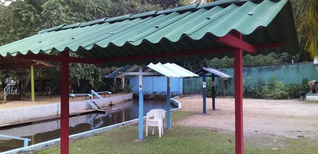 Pra vender logo sitio com igarapé. - Foto 4