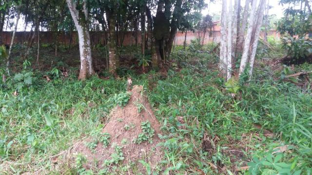 Sitio com Criação de Peixes - Foto 4