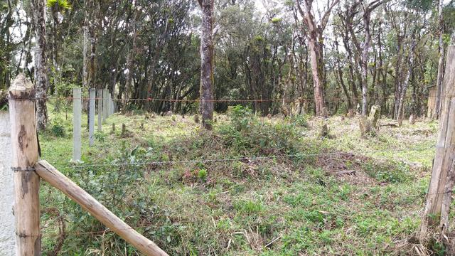 Terreno 1800 quadrados 20 dd frente por 90 de fundo - Foto 2