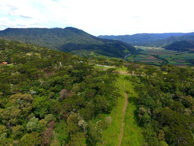 Sítio em Urubici/chácara em Urubici/área rural - Foto 4