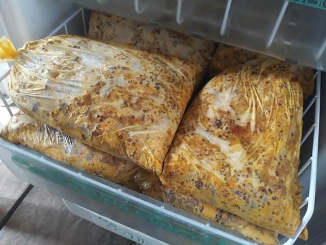 Polpa de buriti 5 reais