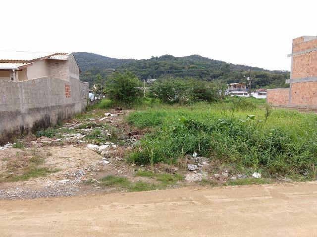 Morretes- Terreno pronto para construir, Rua sendo calçada!!! - Foto 6