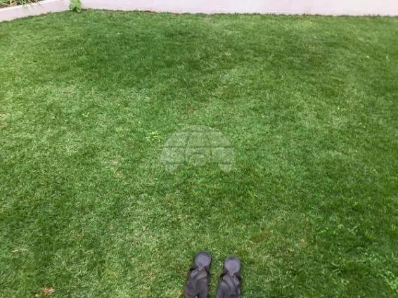 Casa à venda com 3 dormitórios em Pinheirinho, Pato branco cod:151217 - Foto 12
