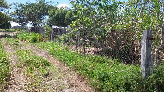 Granja na BR 101, 33 Hectares, 2 Rios, Casa Sede, 3 Baias, Poço, Pasto, Capim - Foto 12