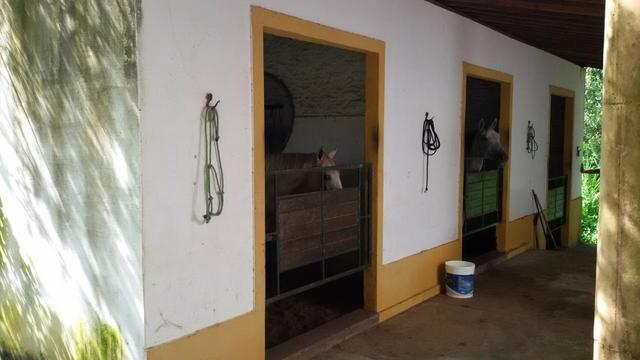 Granja Riachão 14.5 Hectares, 3 Baias, Aprisco, Cocheira, Poço, Casa sede e Morador