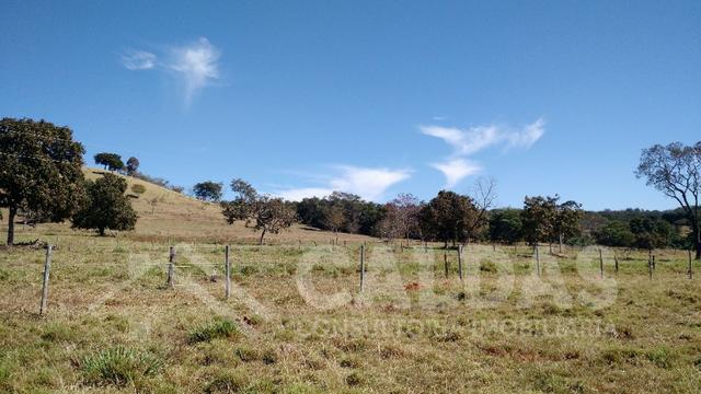 Fazenda de 10 alqueires para pecuária na região de Caldas Novas GO
