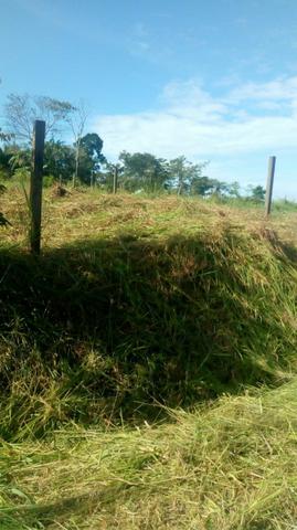 Vendo terreno urgente - Foto 5