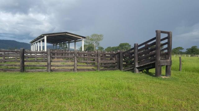 Fazenda Santo Antonio Leverger 870 Hectares - Foto 11