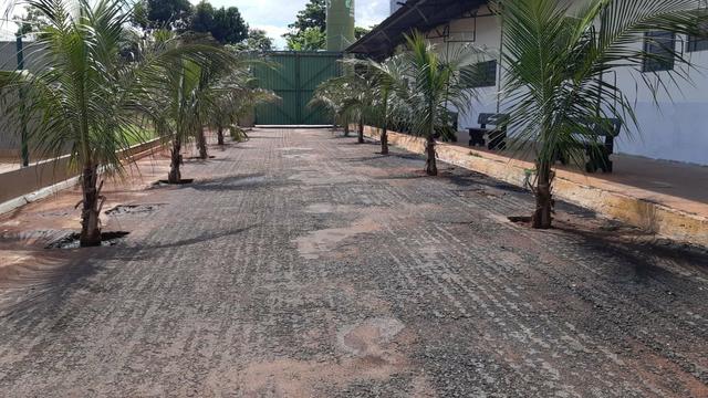 Mudas de coco anão e Coco da Bahia produzindo - Foto 5