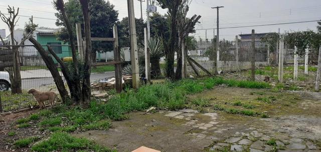 Vende-se terreno em Gravataí p72 bairro são Geraldo - Foto 2