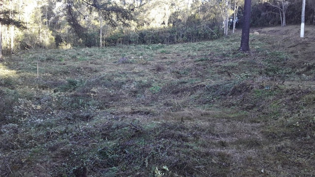 Belíssimo Terreno em Campos do Jordão! - Foto 3