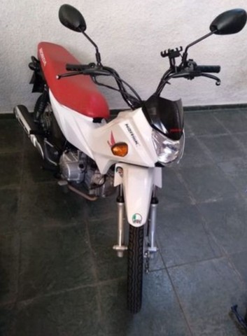 HONDA POP 2019