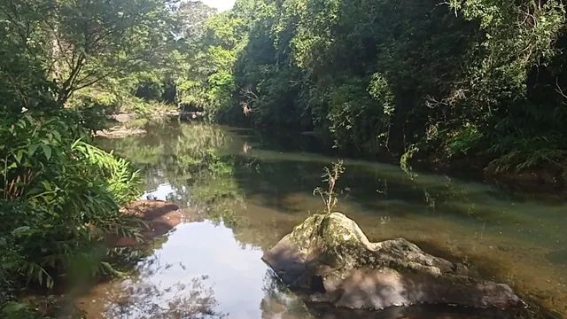 Chácara com um maravilhoso Rio para laser ou moradia  - Foto 4