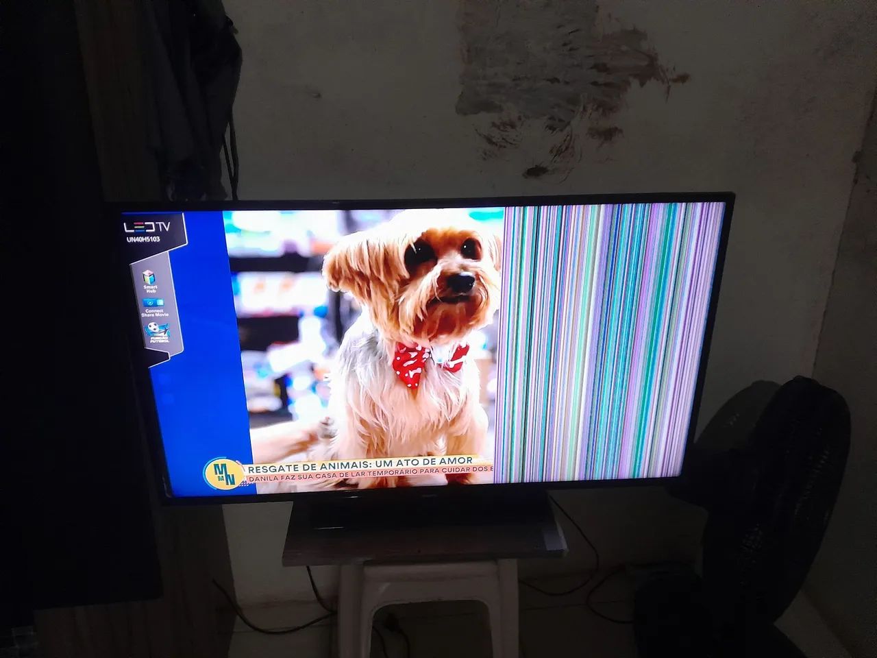 Televisão  - Foto 3