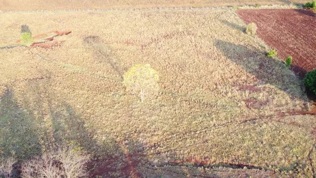Chácara 24 Hectares Terra Boa Jaraguari ! - Foto 5