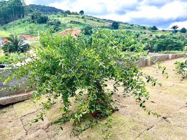 Chácara em Santa Teresa, condomínio fechado Ville De Trento - Foto 6