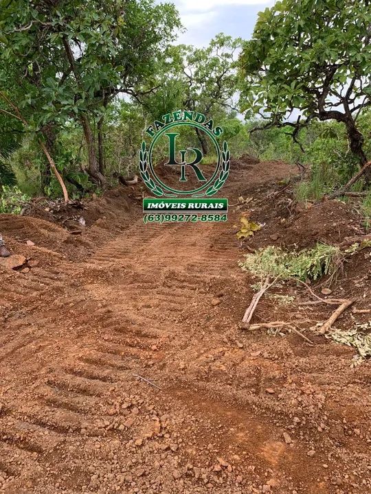Fazenda 69  Alqueires  Dupla Aptidão - Foto 5