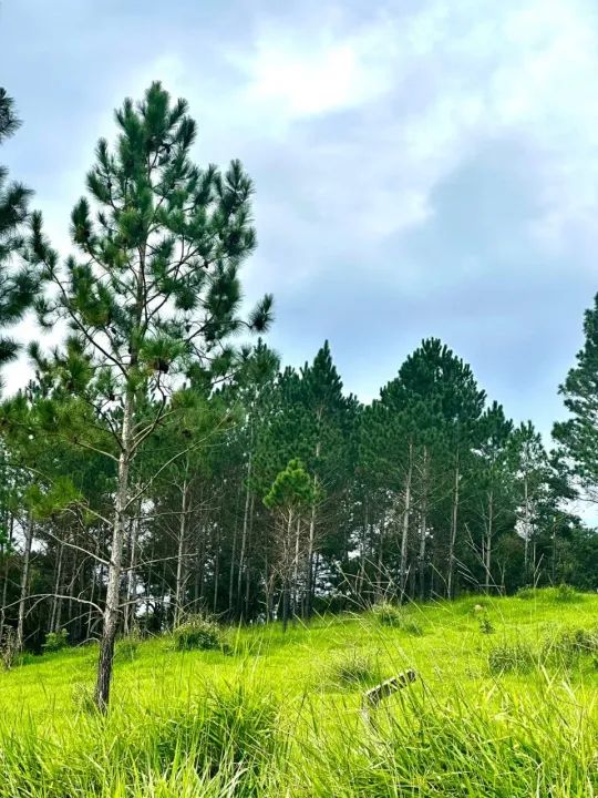 LOTES DE 1000M² PERTO DO ROTEIRO DO VINHO EM SÃO ROQUE - Foto 3