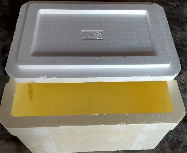 Caixa Térmica Isopor 50 Litros - Foto 2
