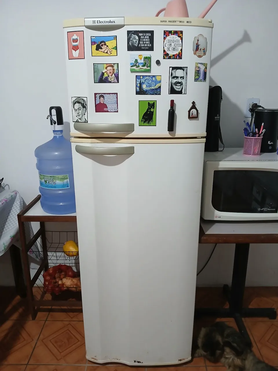 Geladeira Electrolux - Super Freezer DC33