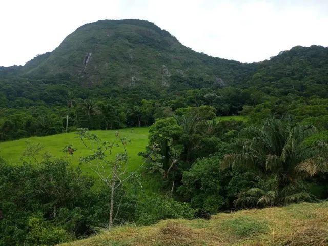 Seu Refúgio na Serra de Macaé a Partir de R$ 80 Mil! ? - Foto 2
