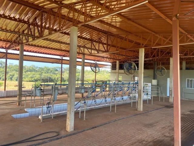 Sistema de Ordenha Automatizado com Aquecimento Solar e Estrutura Metálica(usada em otimo)