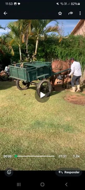 Burro marcha picada SOMENTE VENDA - Foto 2
