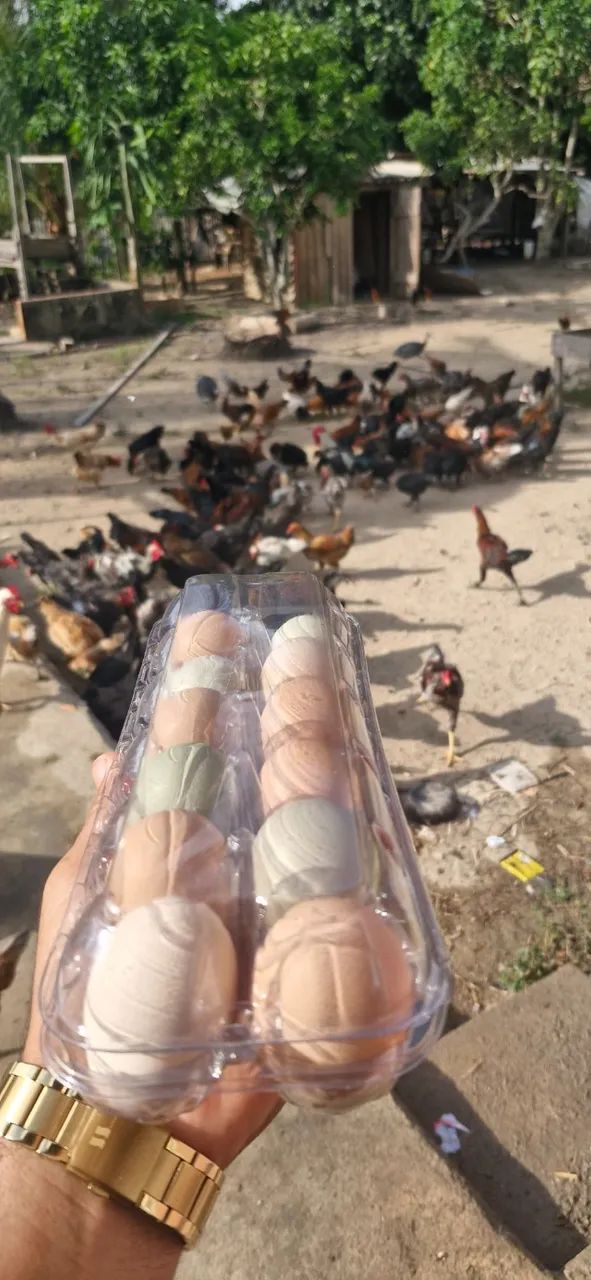 Ovos caipira - Foto 2