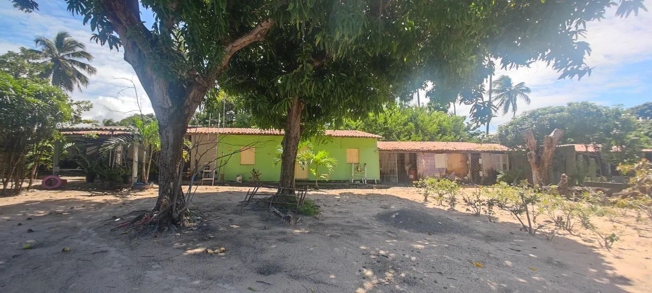 SÍTIO EM PINDORETAMA COM MUITAS BENFEITORIAS - Foto 4