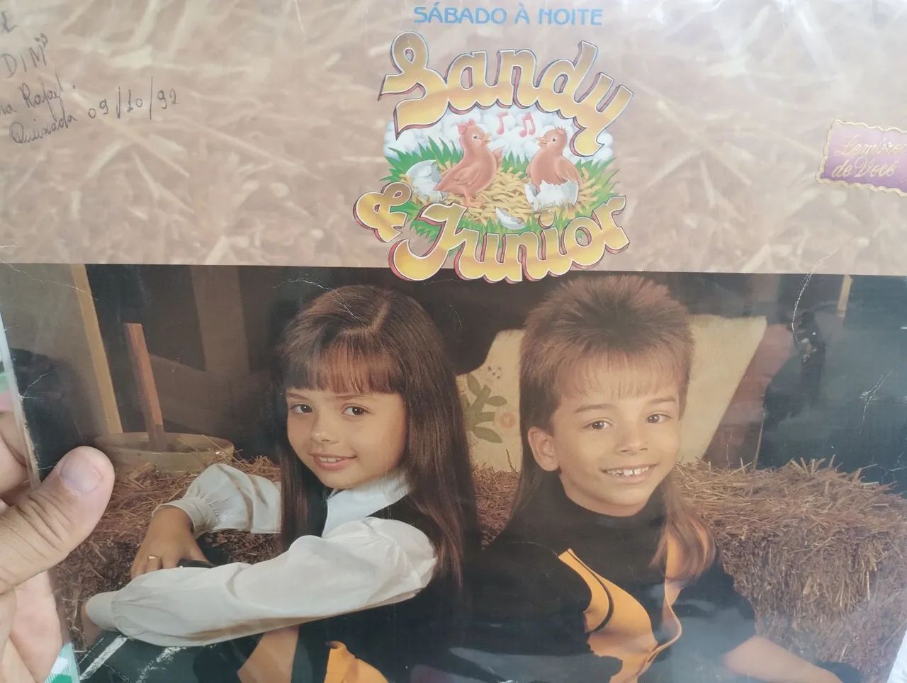 SANDY E JUNIOR DISCO VINIL 