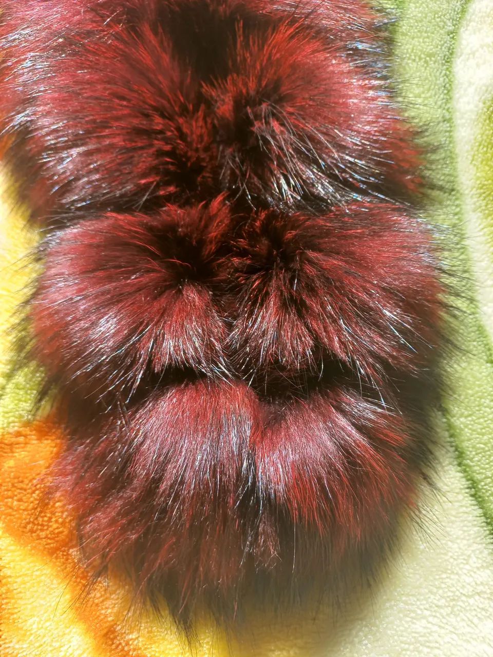 Estola de pele - Foto 3