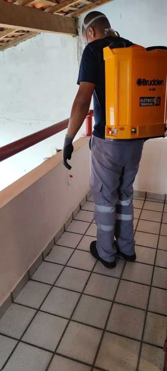 Serviços de dedetização  - Foto 4