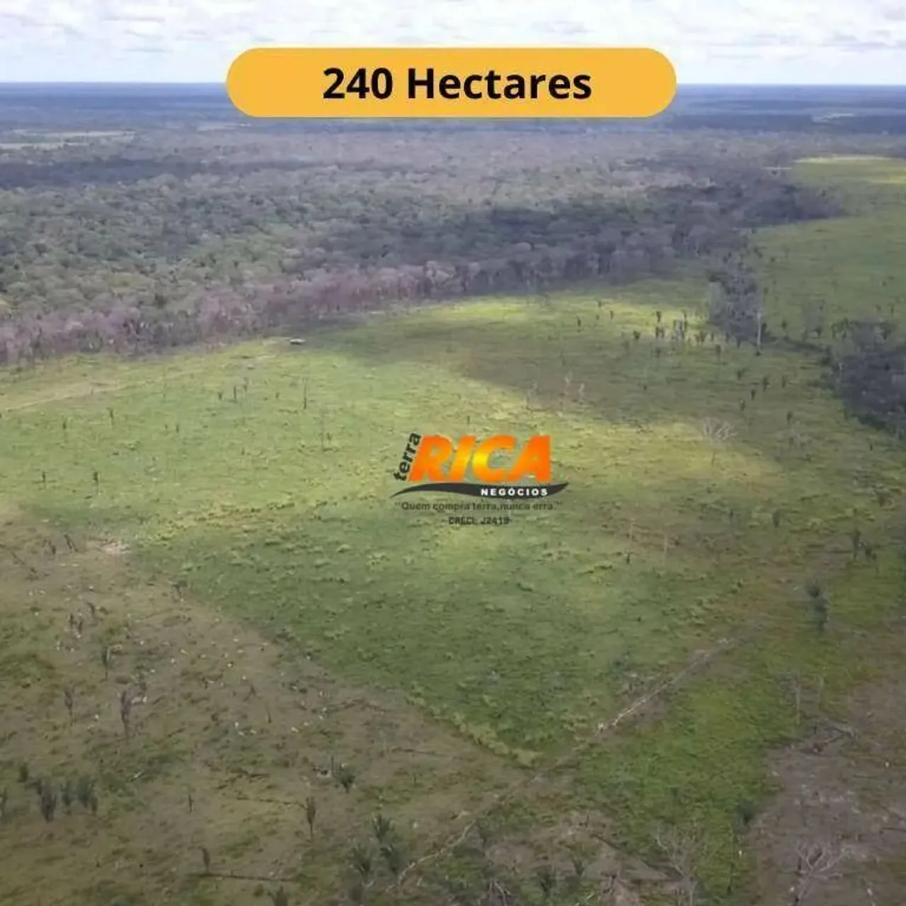 Vende-se fazenda com 240 hectares, localizada em área privilegiada e produtvia - Área Rura
